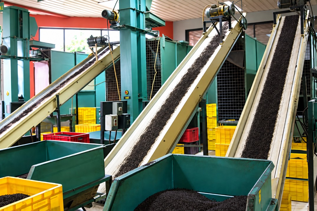 Sorting and packing at the Maskeliya factory